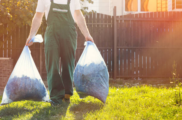 Basement Cleanout Services in Second Mesa, AZ